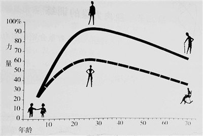 青少年篮球训练的影响因素及对策研究_2
